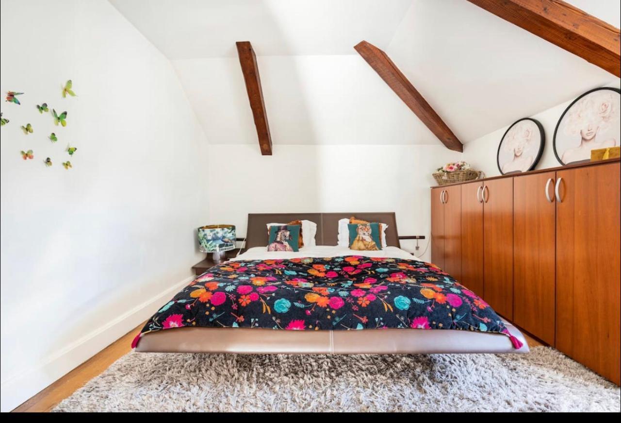 Villa Bonnabel ナンシー エクステリア 写真